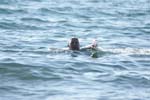 Vakantie_2012_Ialie_0092