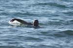 Vakantie_2012_Ialie_0093