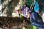 Vakantie_2012_Ialie_0254