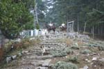 Vakantie_2012_Ialie_0464