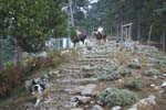 Vakantie_2012_Ialie_0465