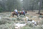Vakantie_2012_Ialie_0468