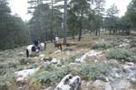 Vakantie_2012_Ialie_0471