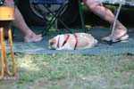 Vakantie_2012_Ialie_0490