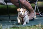 Vakantie_2012_Ialie_0491