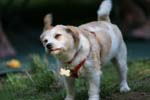 Vakantie_2012_Ialie_0493