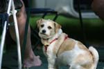 Vakantie_2012_Ialie_0496