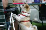 Vakantie_2012_Ialie_0497