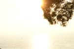 Vakantie_2012_Ialie_0591