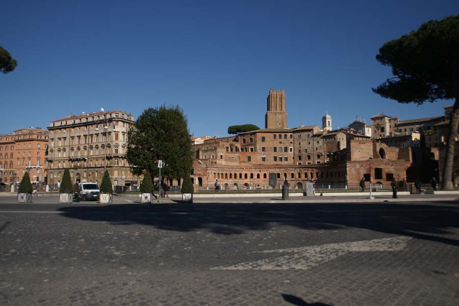 DSC03398